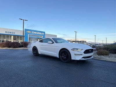 2019 Ford Mustang EcoBoost