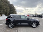 2022 Ford Escape Hybrid SE