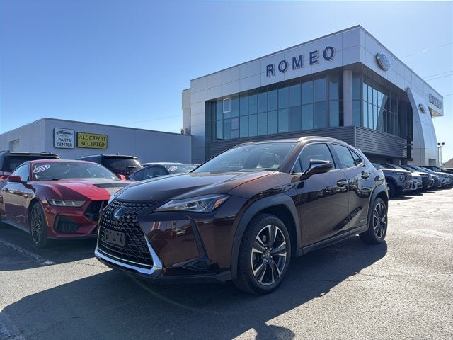2020 Lexus UX 300h 250h AWD's photo