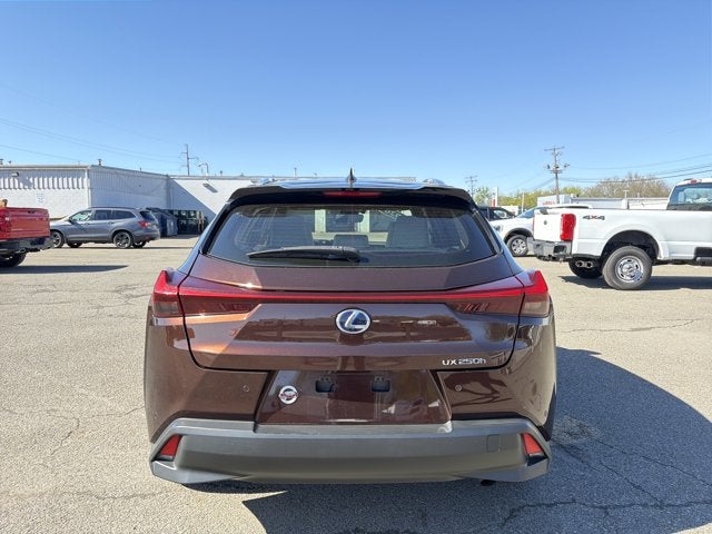 2020 Lexus UX 250h Base